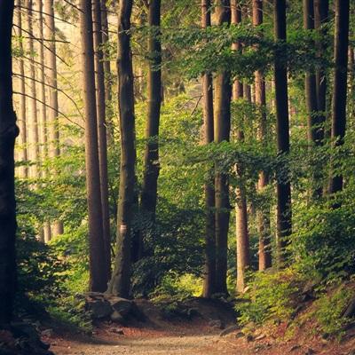 澳门·新葡萄新京威尼斯截图