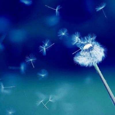 威斯尼斯wns888入口app