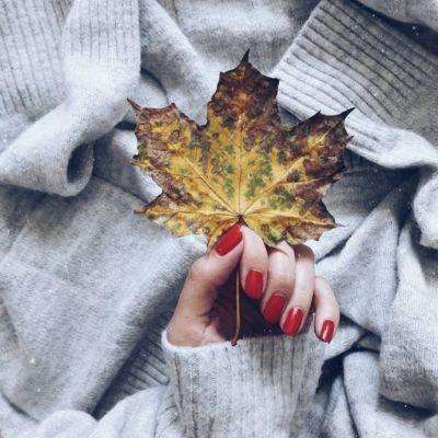 大发彩票app手机app下载