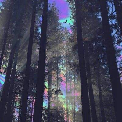 BOB体育平台下载地址