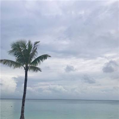 BOB体育平台下载地址