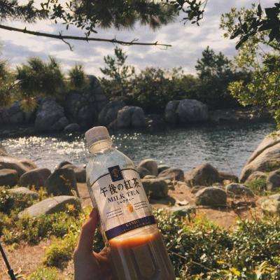 新乐动体育app下载官网