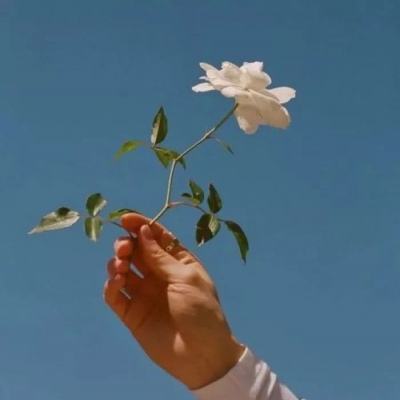 pg娱乐电子游戏app下载