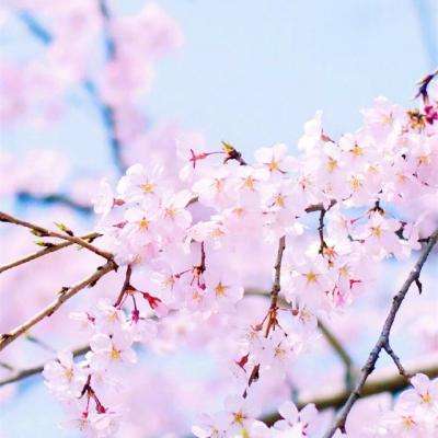 ag真人国际官网手机app下载